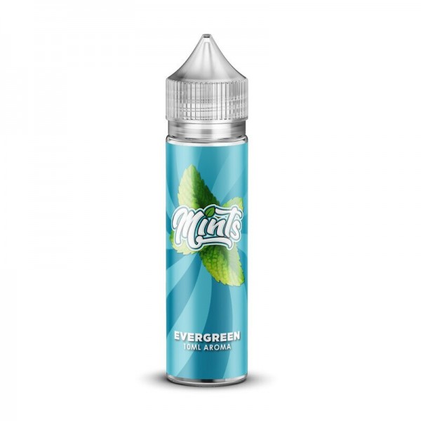 MINTS - Evergreen Longfil...