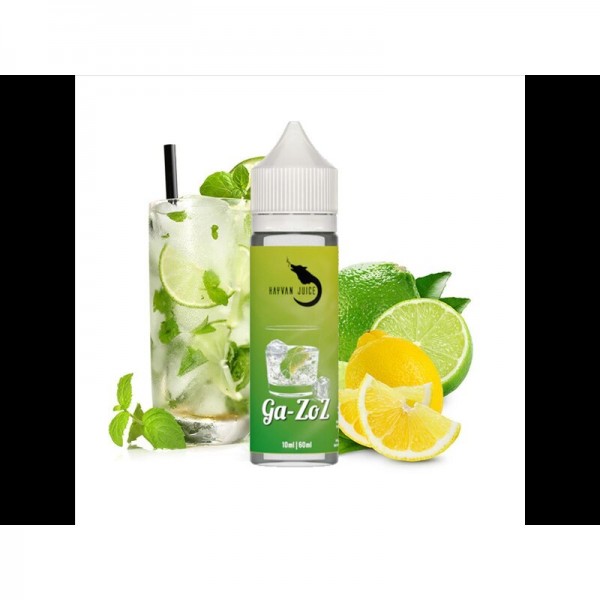 HAYVAN JUICE - Ga-zoz Lon...