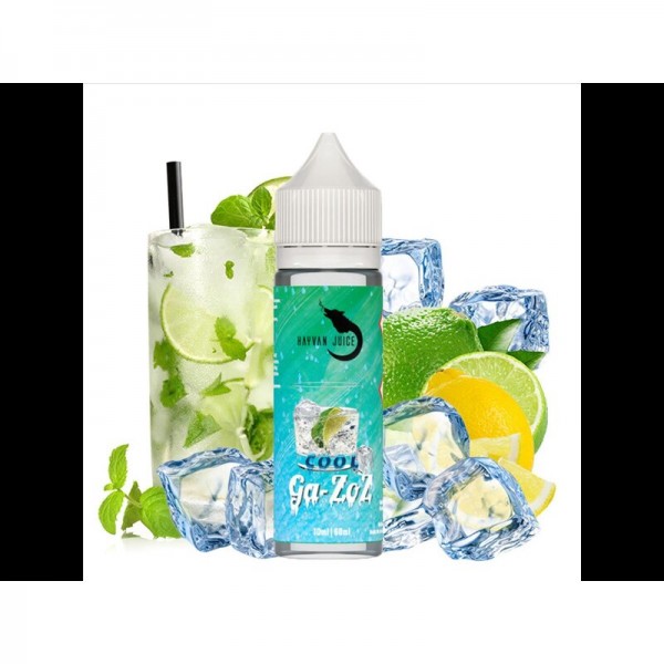 HAYVAN JUICE - Ga-zoz Coo...