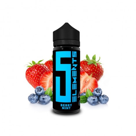 5 ELEMENTS - VOVAN - Berry Mint Aroma mit Steuerzeichen